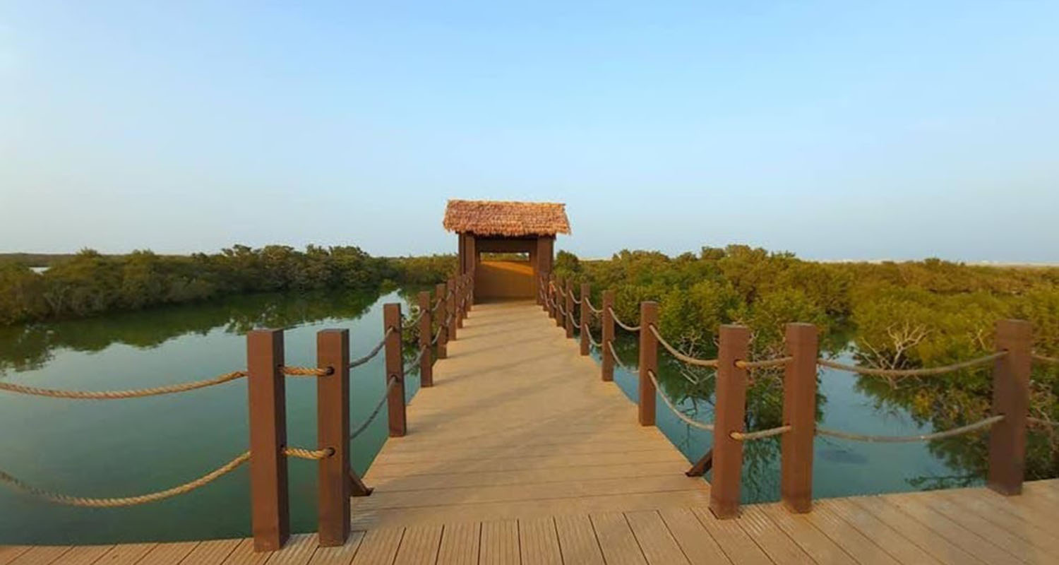 WhatsApp Image 2025-02-08 at 11.42.39 (3).jpeg